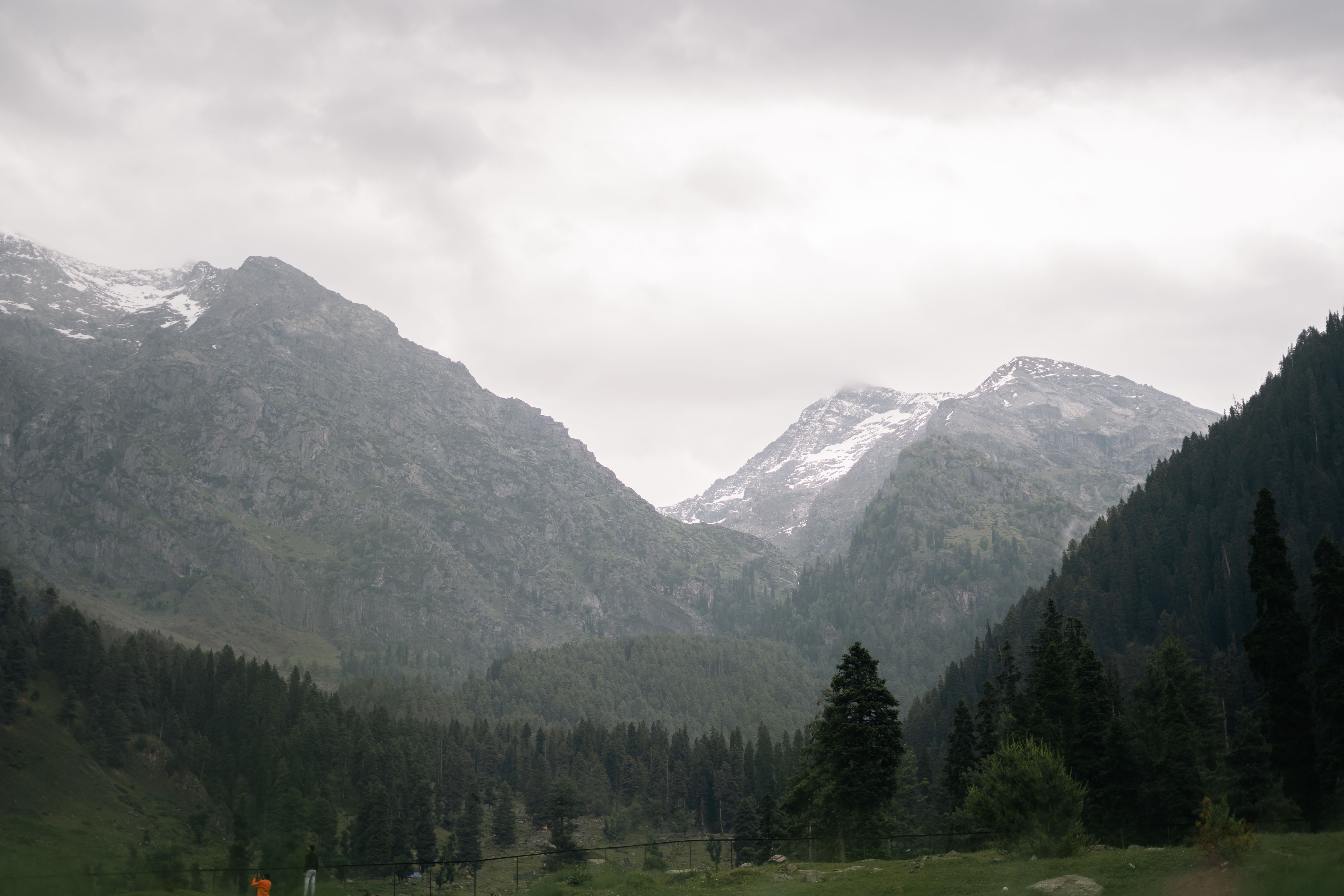 Pine forests and snowy peaks around Pahalgam, Kashmir